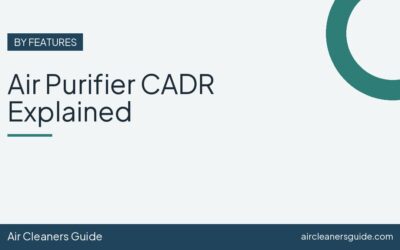 Air Purifier CADR Explained