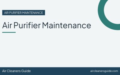 Air Purifier Maintenance