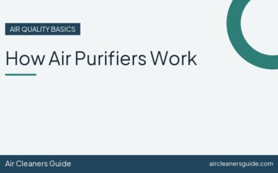 How Air Purifiers Work
