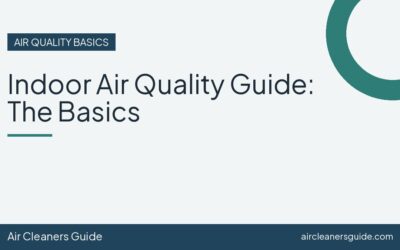 Indoor Air Quality Guide: The Basics
