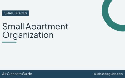 Small Apartment Organization