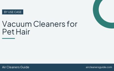 Vacuum Cleaners for Pet Hair